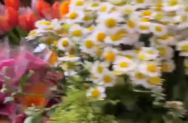 爱在三八女神节
